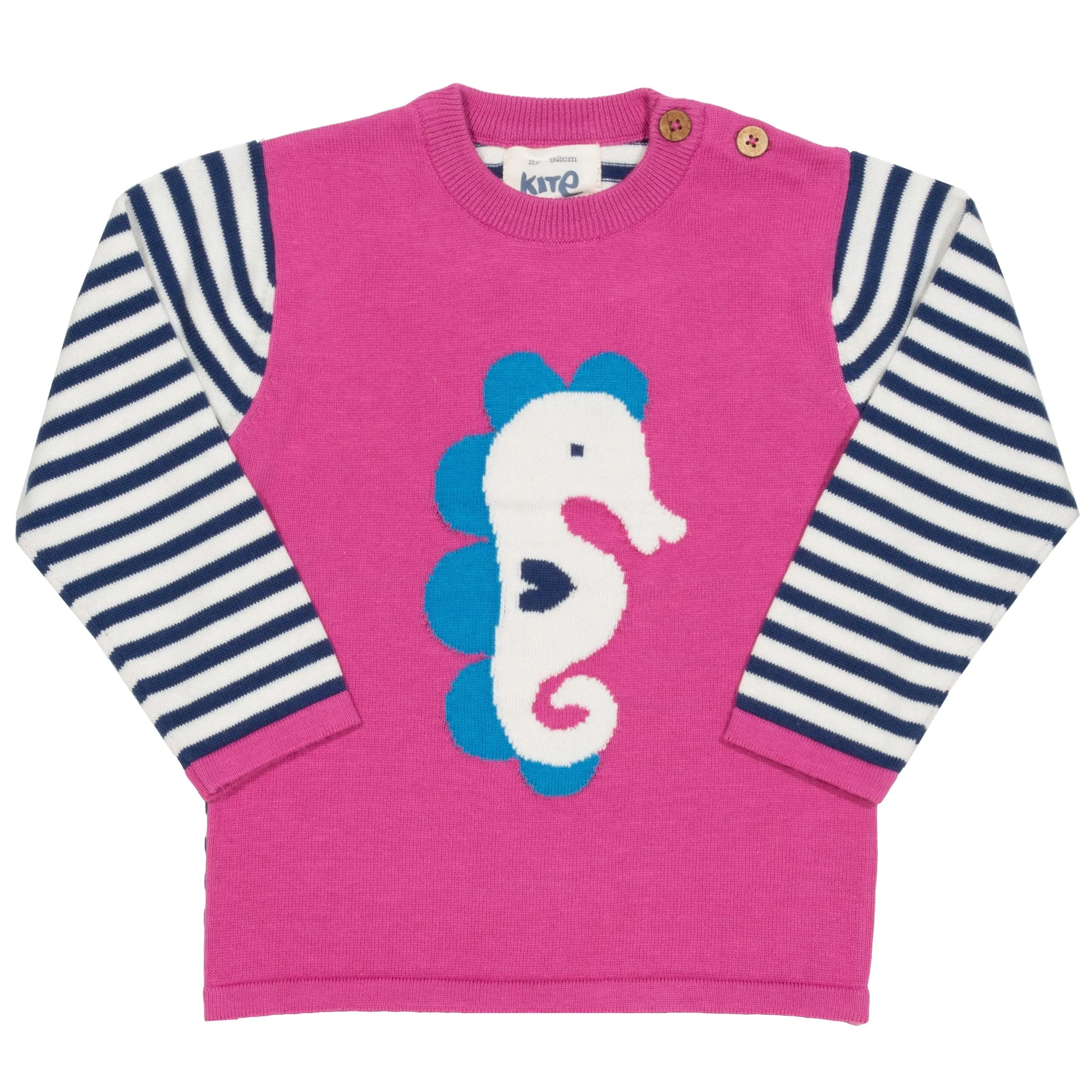 Seahorse jumper