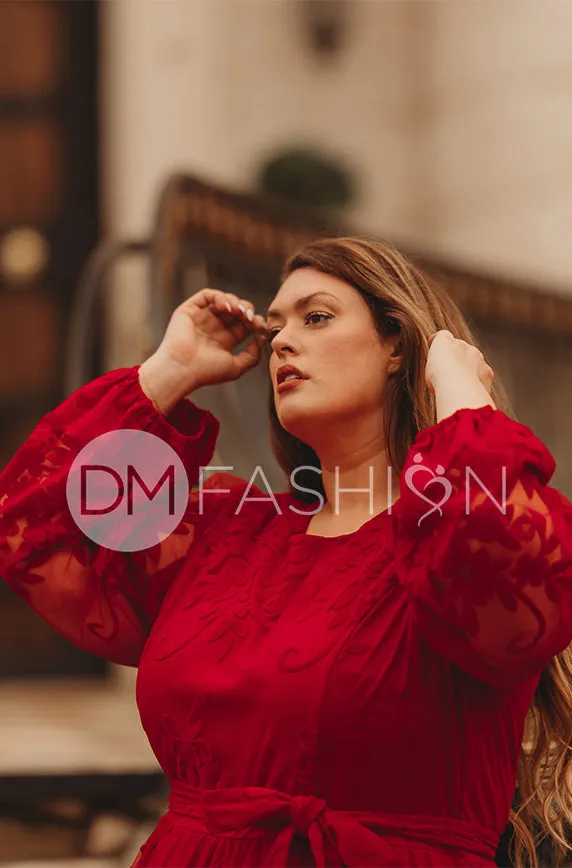 Skye Red Gown - DM Exclusive - Restocked - Maternity Friendly