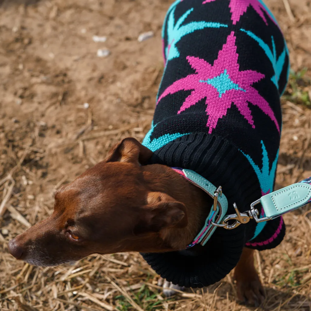 Starry Night Dog Jumper