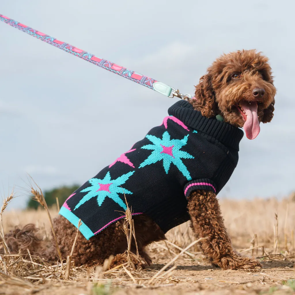 Starry Night Dog Jumper