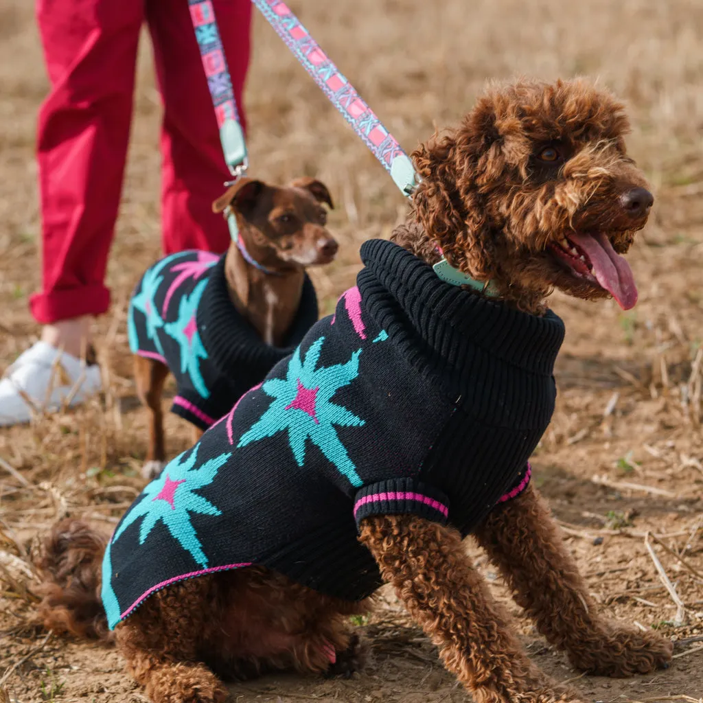 Starry Night Dog Jumper