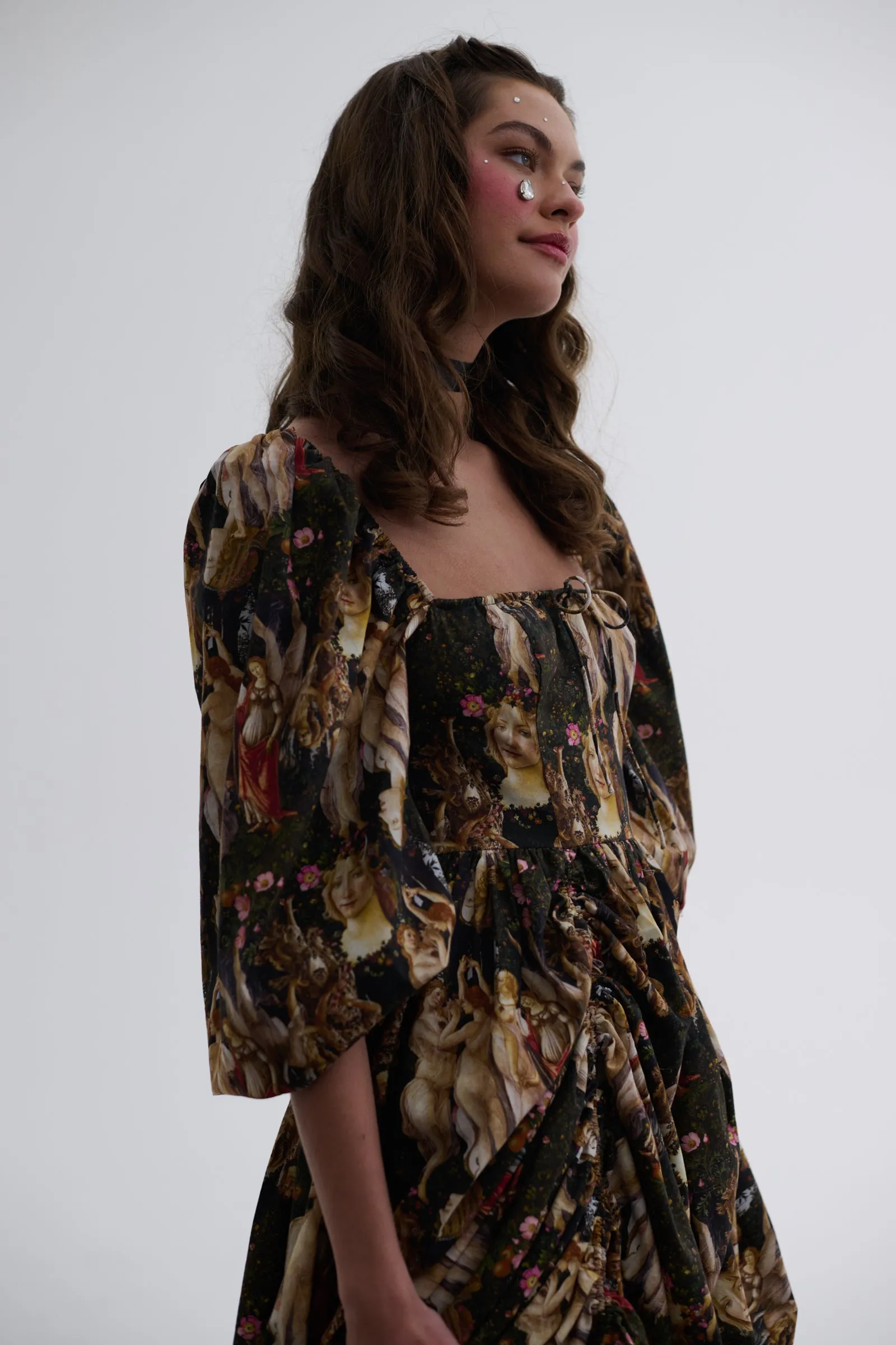 The Primavera Romantics Dress